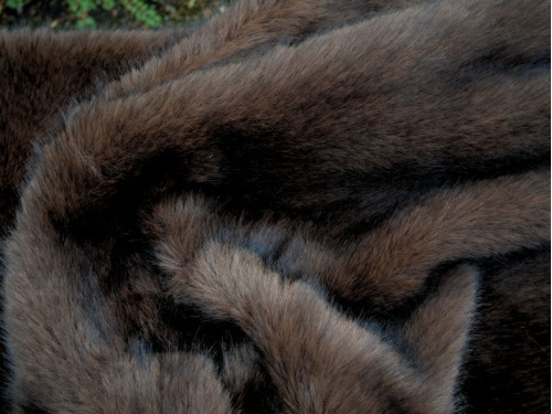 c2004-058_2