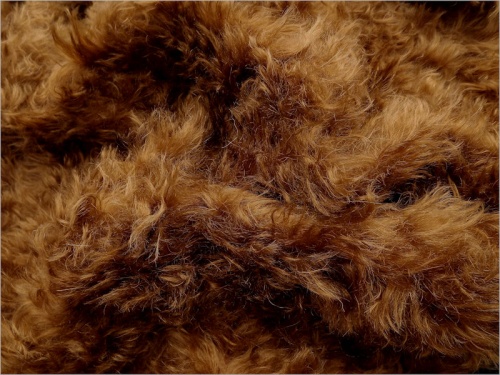 Schulte Carley Conker 40mm Mohair 13