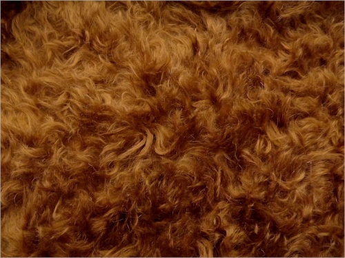 Schulte Carley Conker 40mm Mohair 13