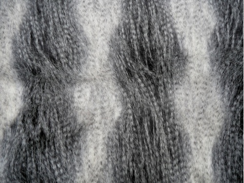 cream_black_peacock_1