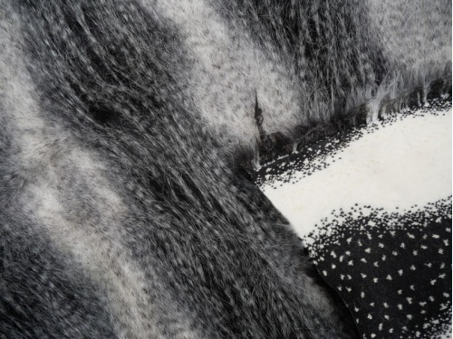 cream_black_peacock_3