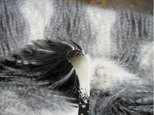 cream_black_peacock_4
