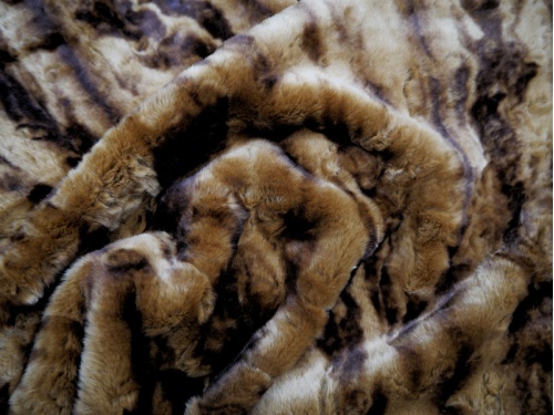 crushed_sahara_2