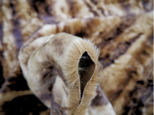 crushed_sahara_4