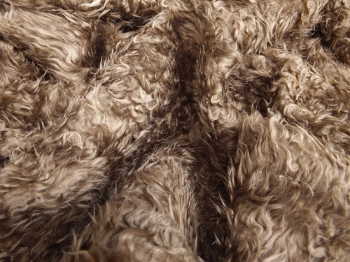 dark_chestnut_1