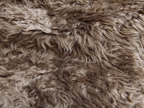 dark_chestnut_2