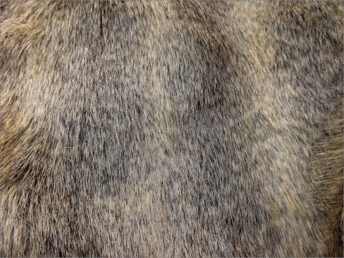 Feathered Brown 60mm pile O/G