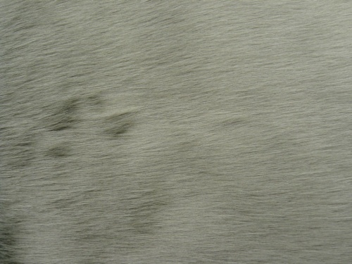 grey_611_1