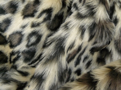 grey_leopard_1_1451296942