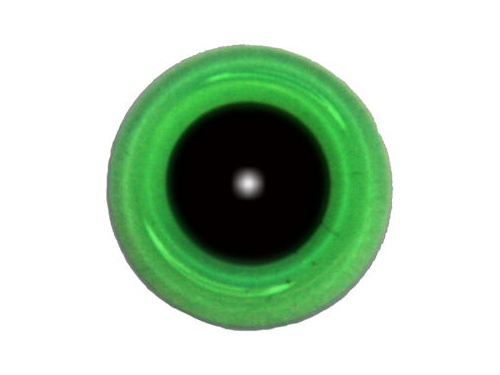 Bottle Green Transparent Glass Eyes