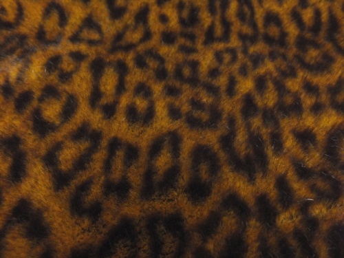 Leopard Tissavel 20mm pile 