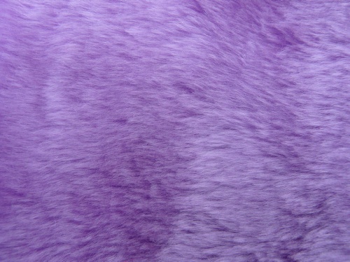 lilac_800_1