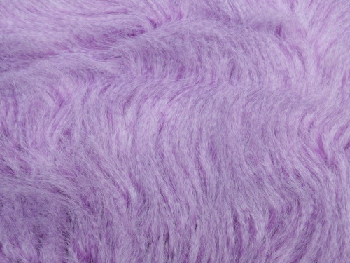 lilac_peacock_1