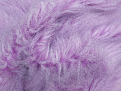 lilac_peacock_2