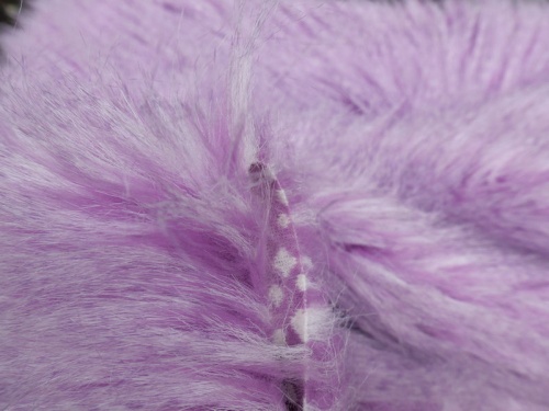 lilac_peacock_4