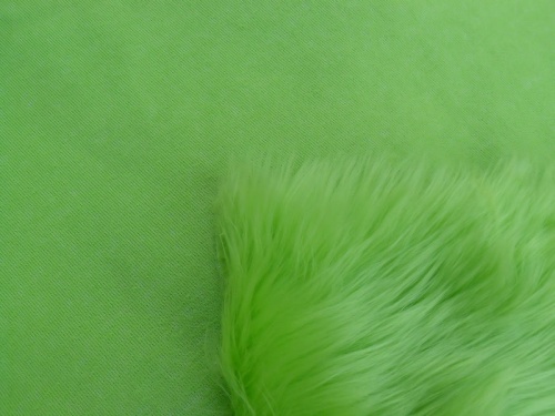 lime_4