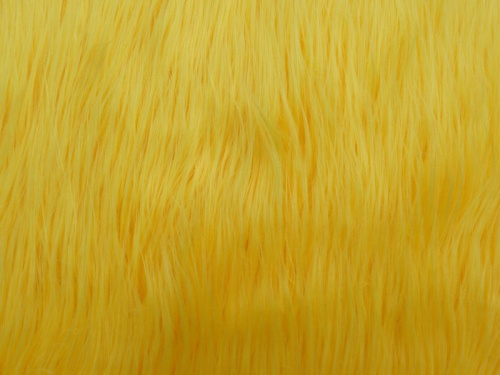 new_yellow_mongolian_1