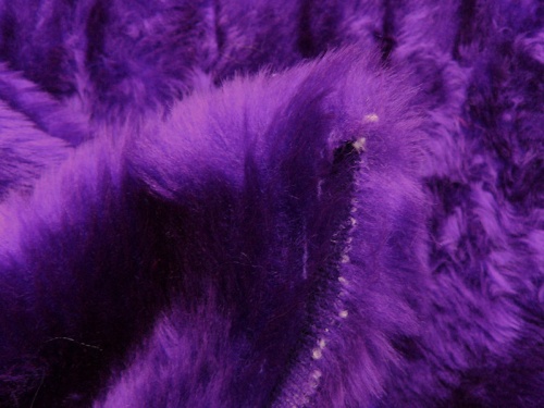 p800_purple_3