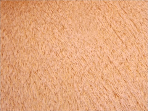 Schulte Rich Gold Flat Laid 8mm Mohair 06