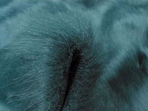 teal_3
