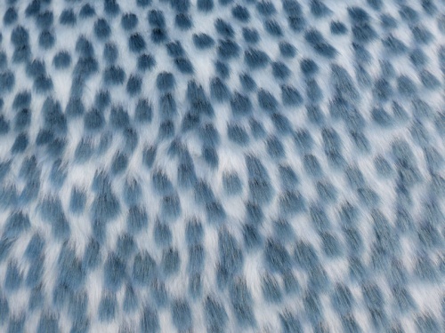 teal_blue_tuft_1