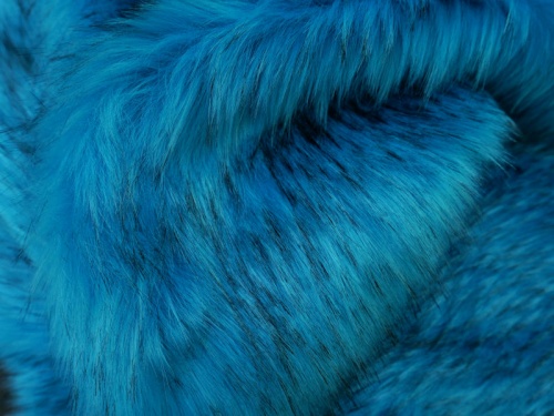 teal_tipped_2
